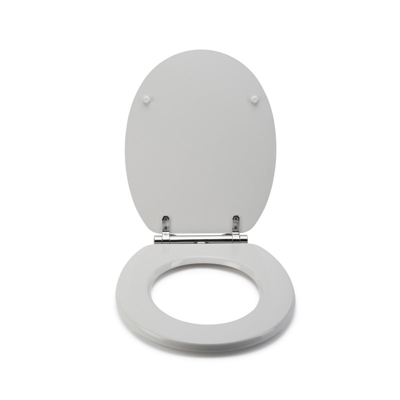 Croydex Soft Close Round Standard Toilet Seat & Reviews Wayfair.co.uk
